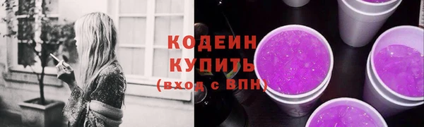 хмурый Лиски