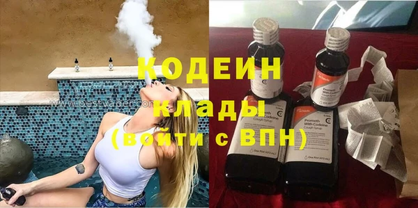 хмурый Лиски