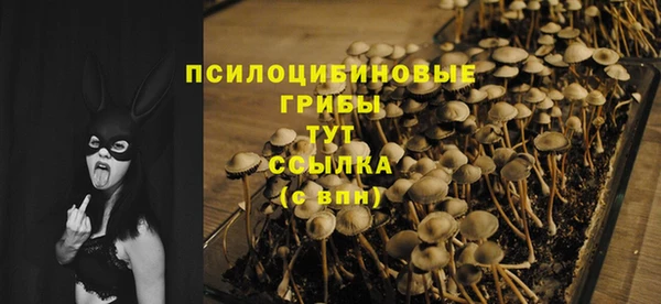 амф Майский